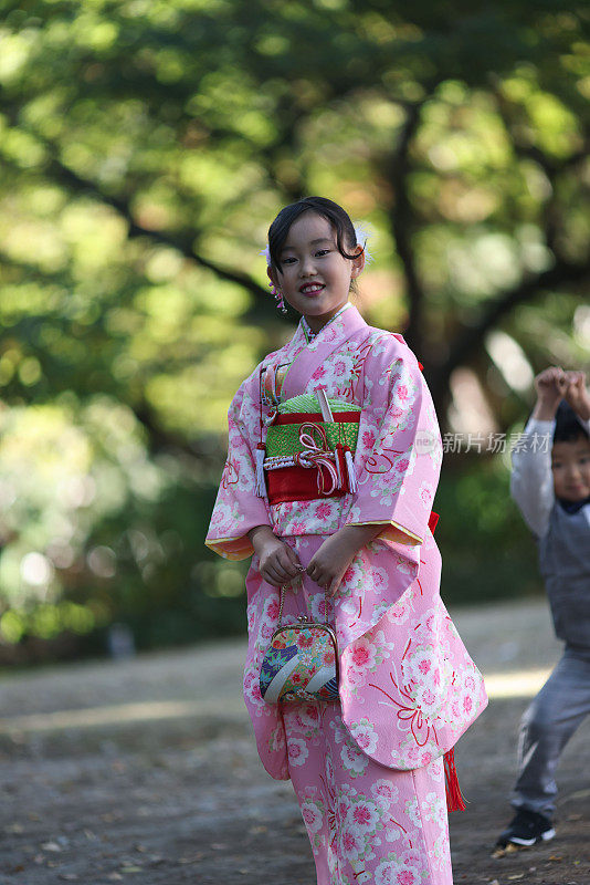 漂亮的日本女孩穿着和服为Shichi go san庆祝